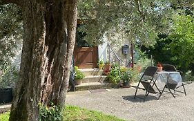 la casetta di Vacone